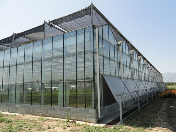 新型智能玻璃温室大棚工程